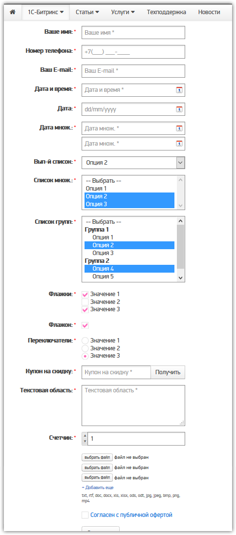 Все возможные поля формы с оформлением радиокнопок и флажков